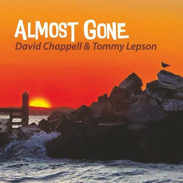 Cover art for Almost Gone